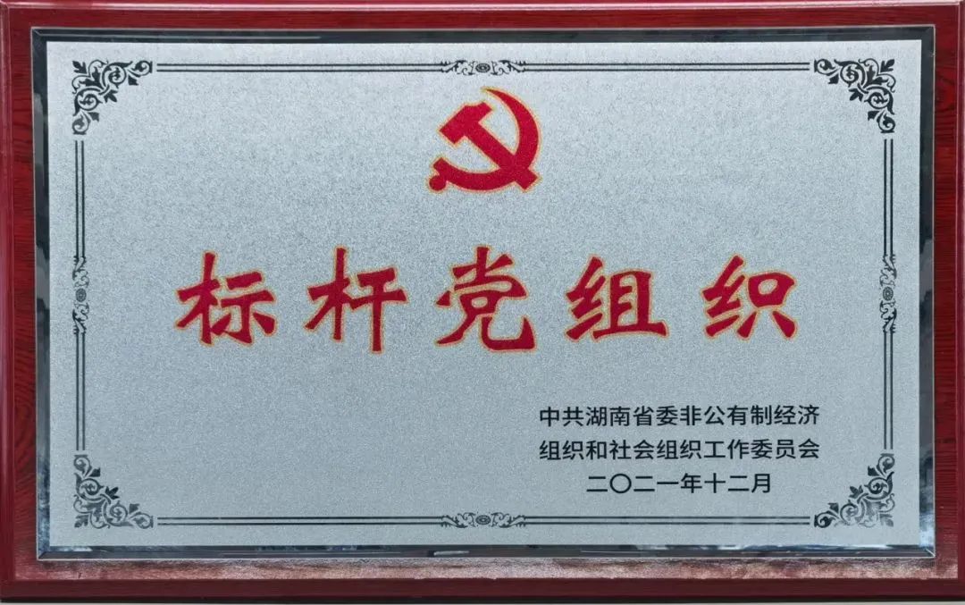 党建品牌亮起来！平博在线智能党委获评“标杆党组织”