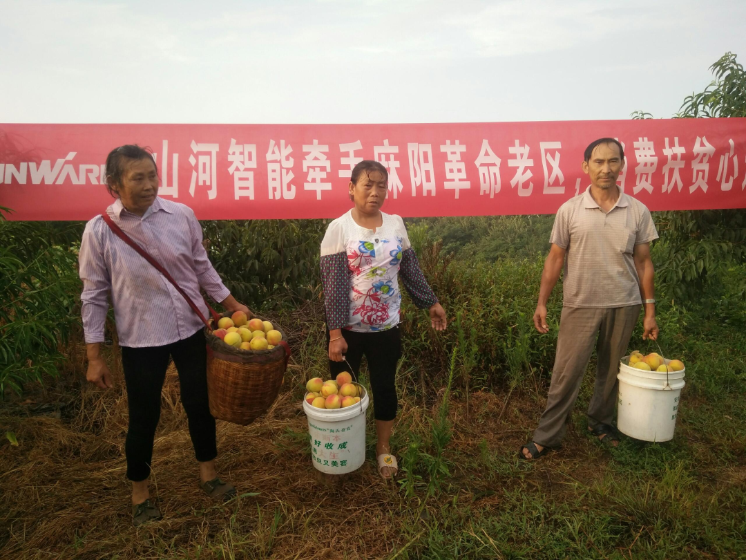 点赞!平博在线智能成功入选“上市公司乡村振兴优秀实践案例”