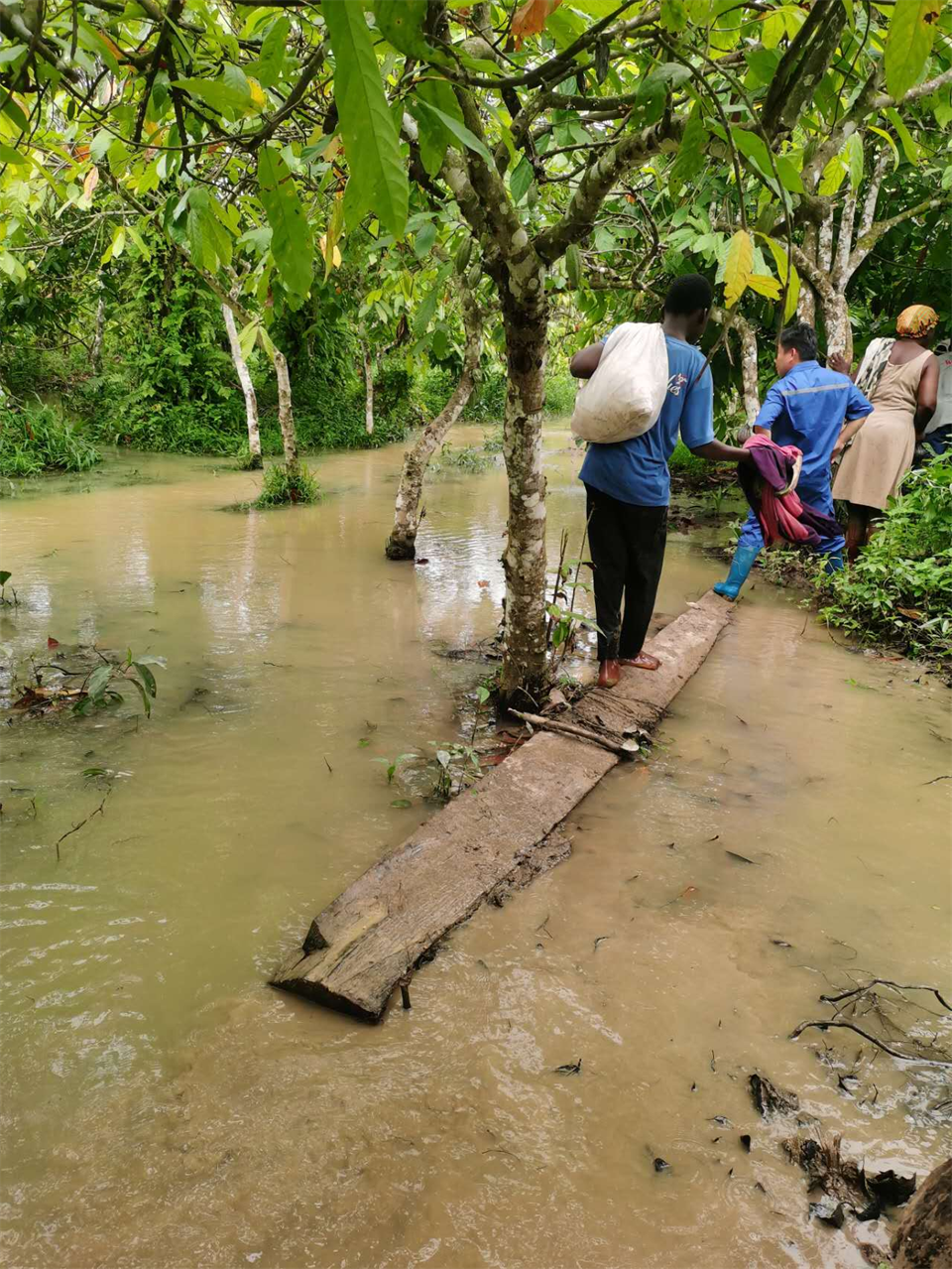 品质平博在线，用心服务！平博在线智能服务万里行活动走进非洲加纳