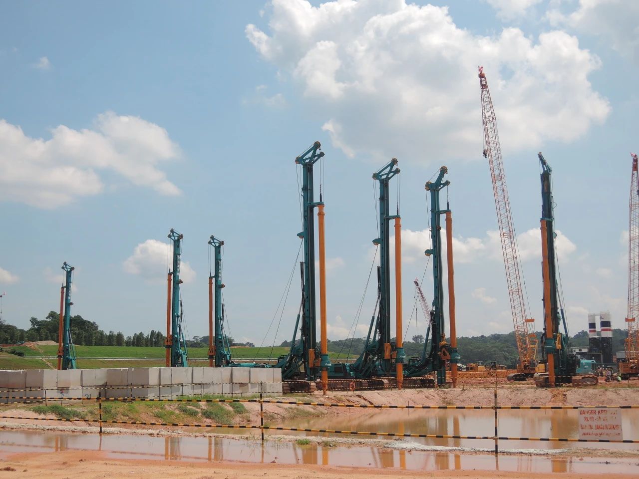 “平博在线绿”绽放“一带一路”