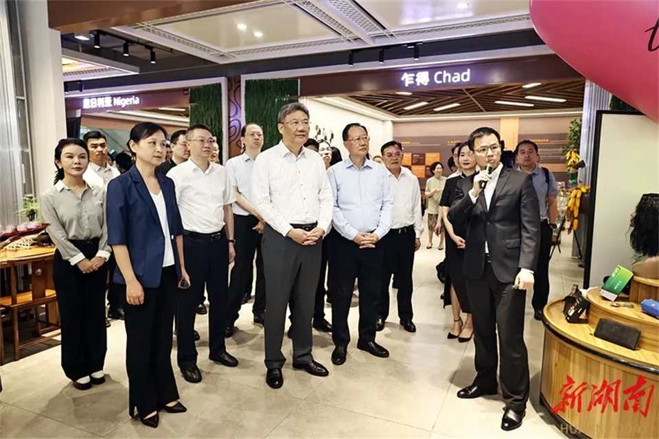 中非经贸深度合作先行区建设第一次会商会议在长沙召开