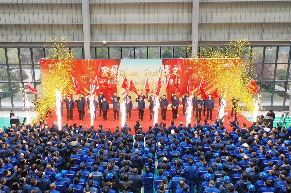 乙巳蛇年 开工大吉